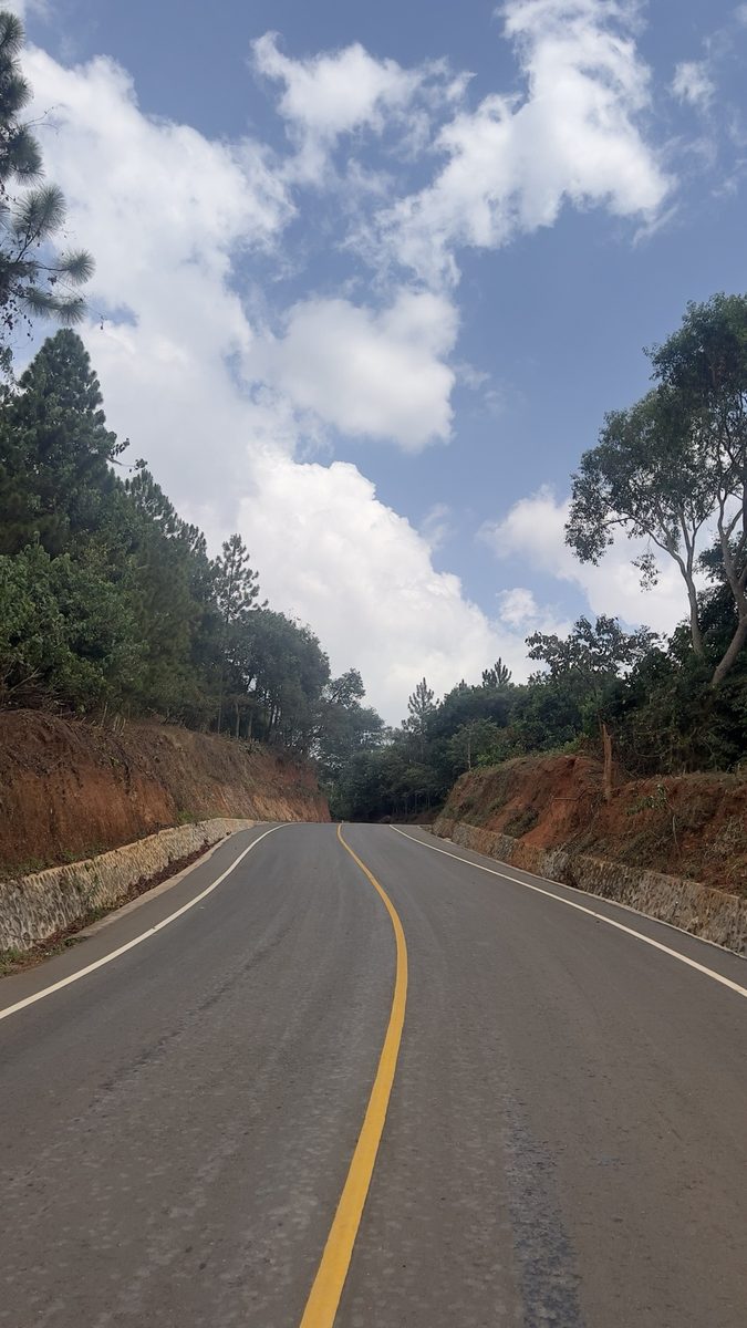 The access road rising through the forest toward Maya Nature Resort.