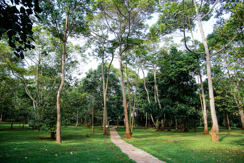 Shaded garden lawns at Maya Nature Resort.