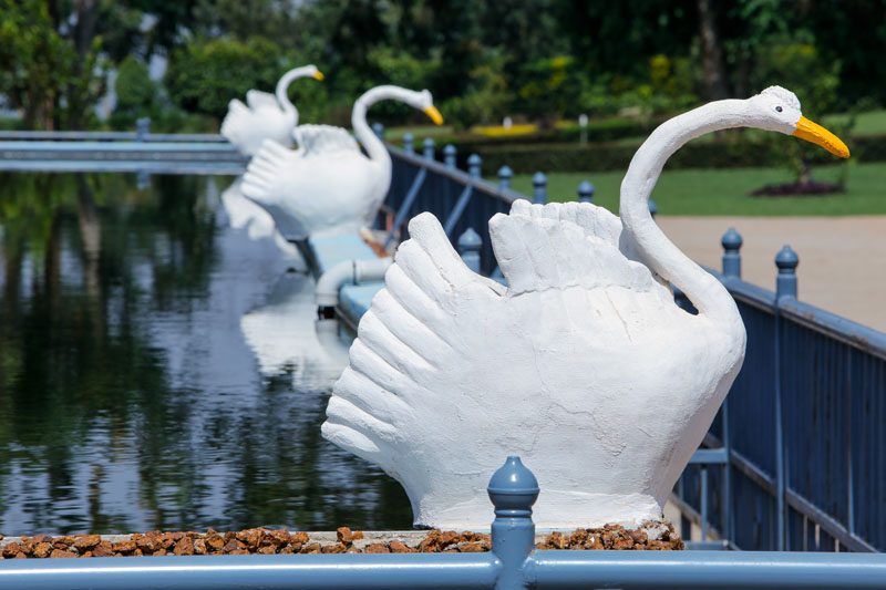 The swan water feature at Maya Nature Resort.