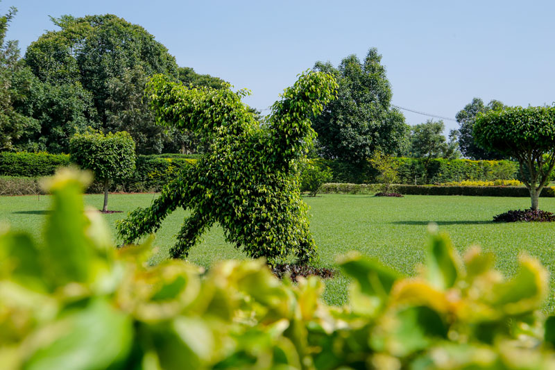 Manicured lawns at Maya Nature Resort.
