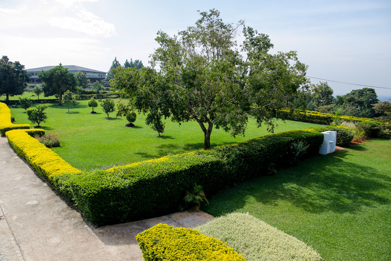 Hedged gardens at Maya Nature Resort.