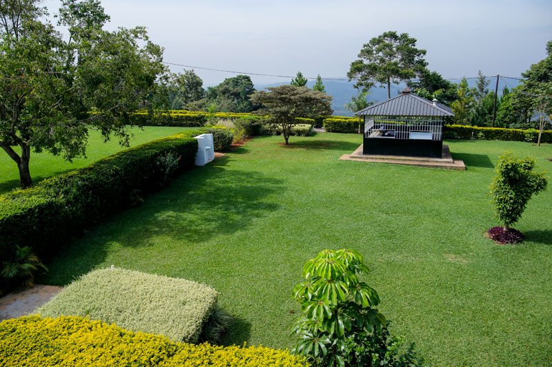 Sculpted hedges at Maya Nature Resort.