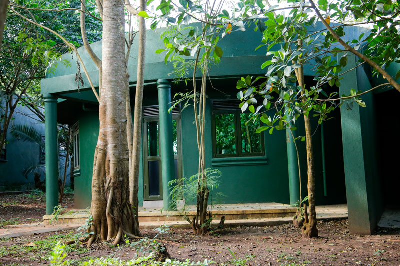 A cottage in the trees at Maya Nature Resort.