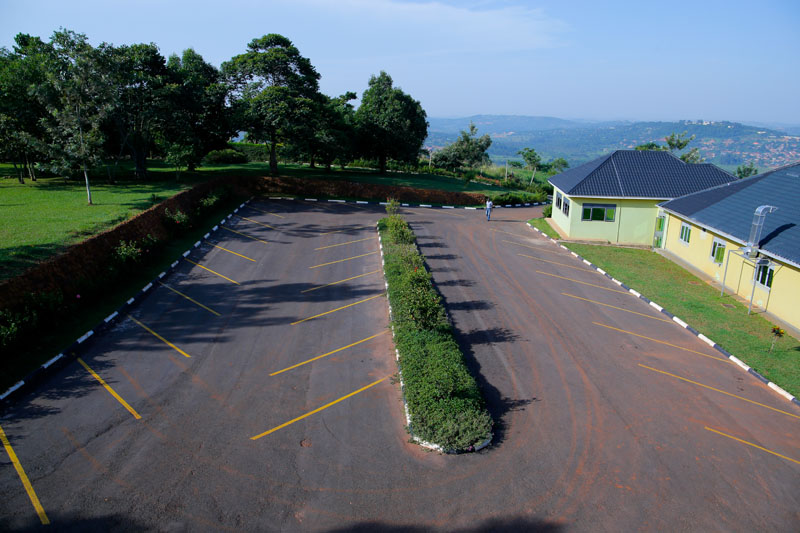 The approach road at Maya Nature Resort.
