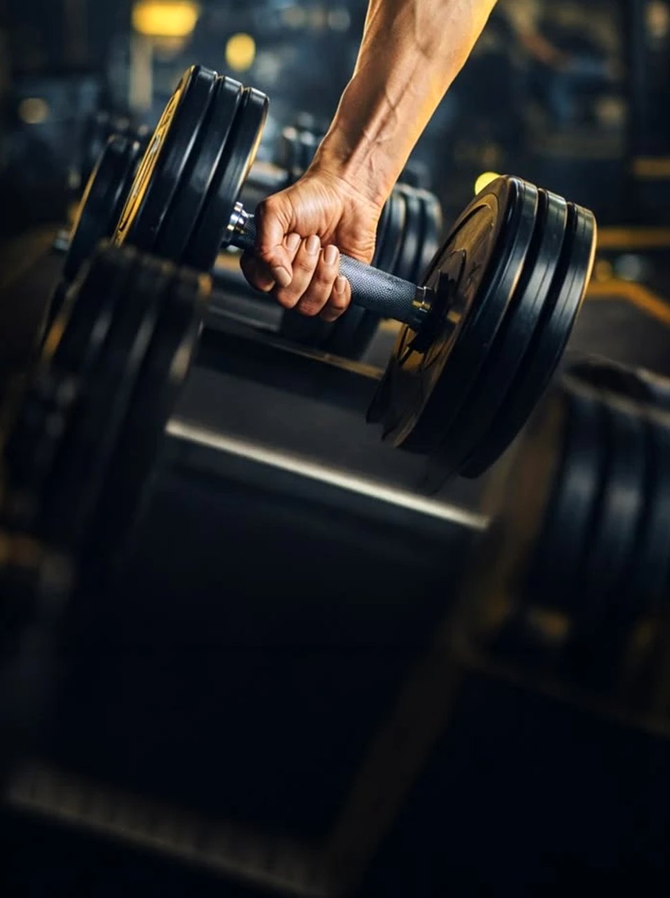 Dumbbells on the rack in the gym at Maya Nature Resort
