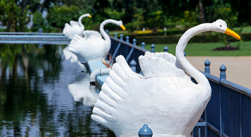 The swan pond at Maya Nature Resort — a romantic setting for weddings