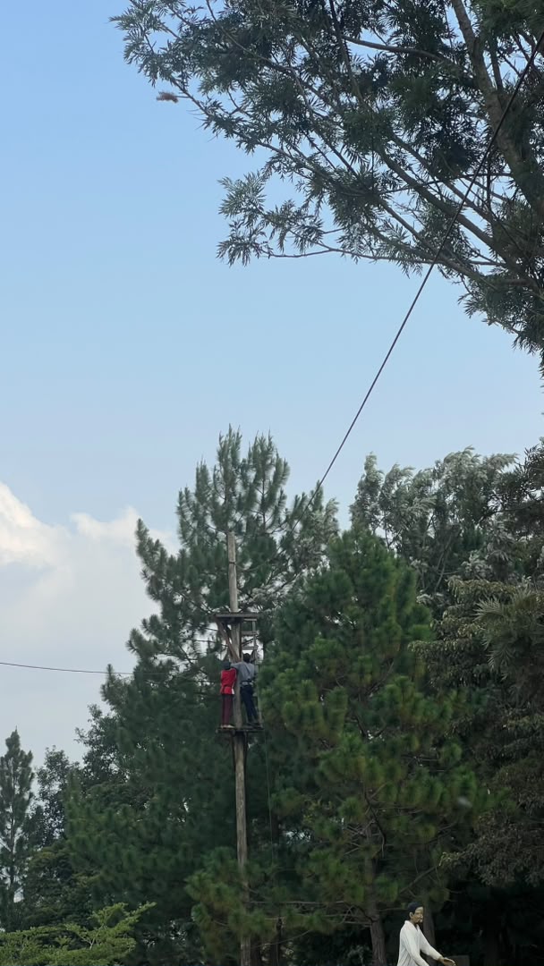 Guest climbing the zip-lining launch platform among the pines at Maya Nature Resort